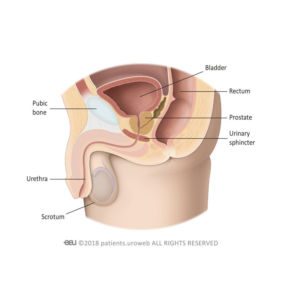 What is urinary incontinence?